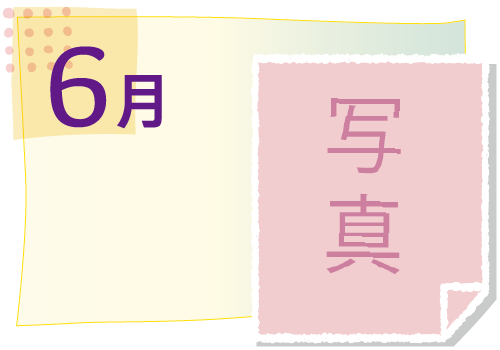 6月の活動イベント