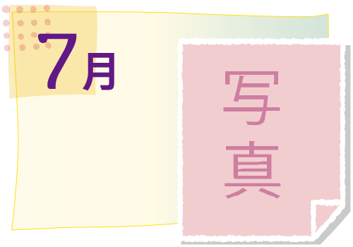 7月の活動イベント