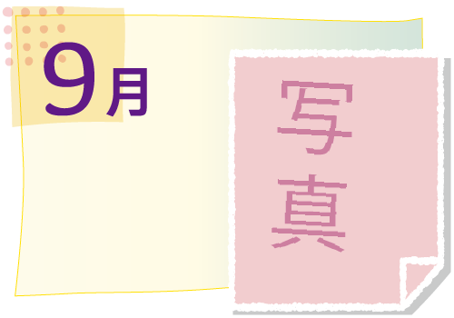 9月の活動イベント